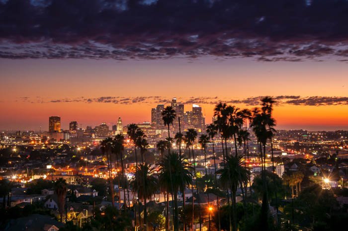 sunset through the palm trees, Los Angeles, California
